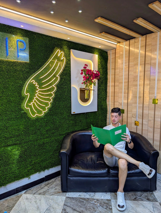 هارموني  | Harmony – اللوحة الحيّة بالضوء، متناغمة مع المزهرية